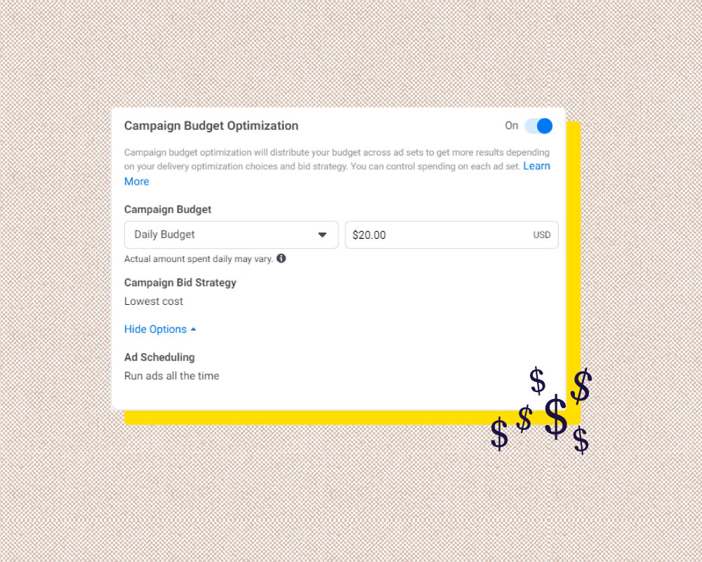 Facebook campaign budget optimization options